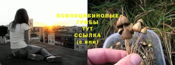 MESCALINE Аркадак