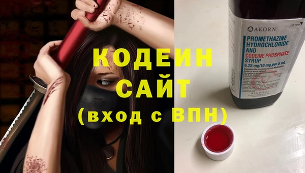 стаф Арсеньев