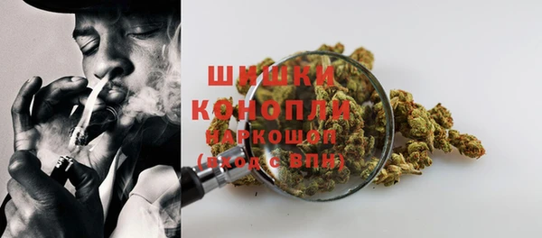 MESCALINE Аркадак