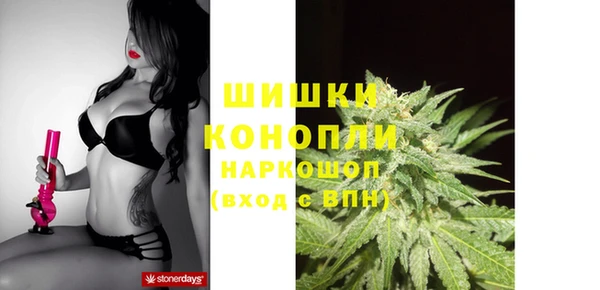 стаф Арсеньев