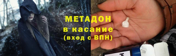 стаф Арсеньев