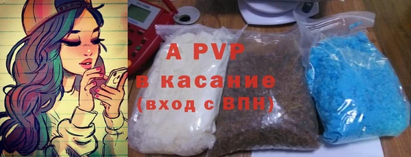 стаф Арсеньев