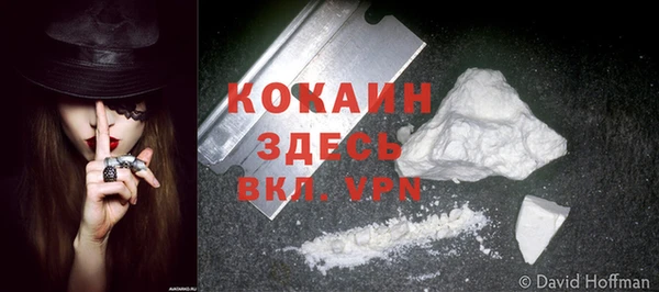 стаф Арсеньев